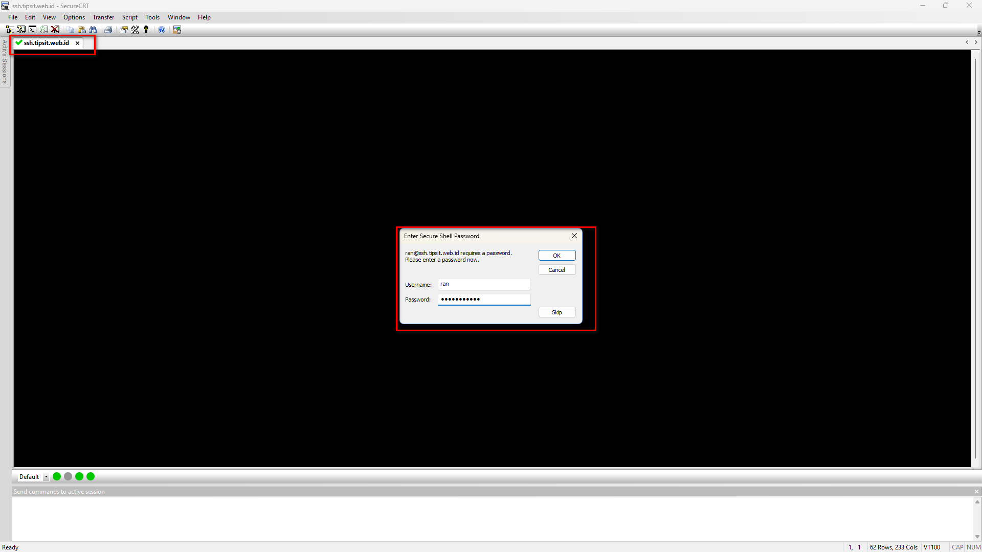 Berhasil login ke server